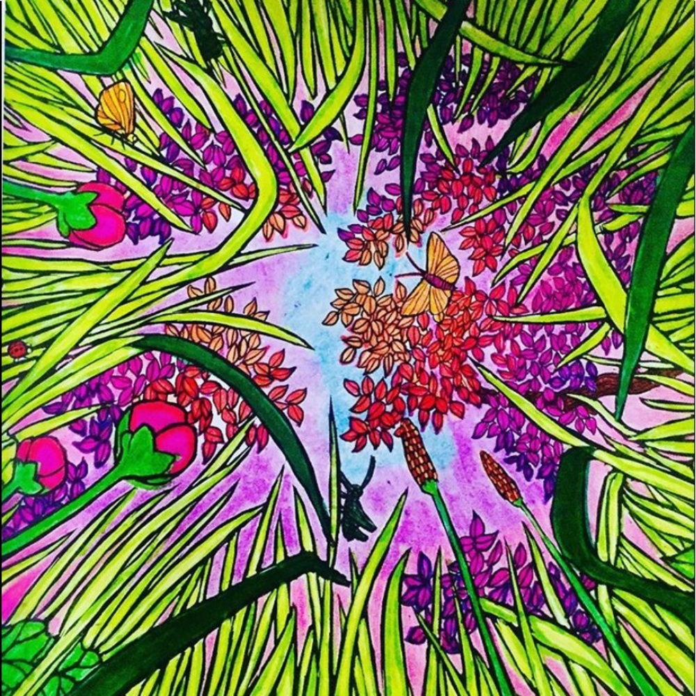 Splendour in the Grass Art Decor